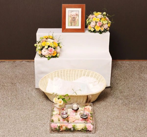 祭壇付ガーベラ